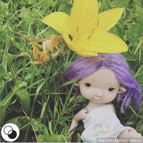Лето. Айка. Цветы — Куклы Irrealdoll (Ирреалдолл): BJD (БЖД) (фото 5)