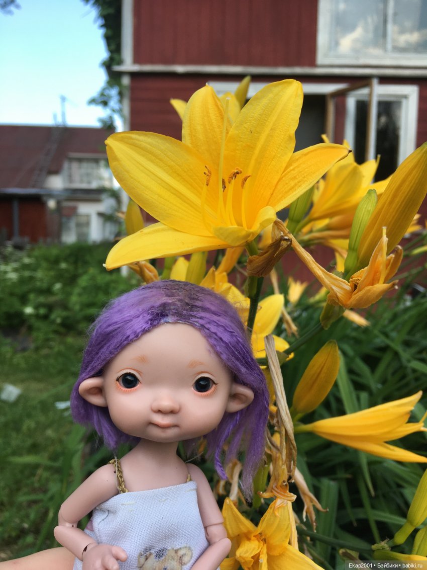Лето. Айка. Цветы — Куклы Irrealdoll (Ирреалдолл): BJD (БЖД) (фото 6)