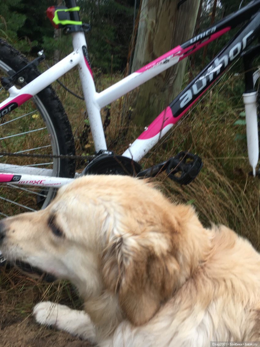 А мы все еще на даче — Куклы Irrealdoll (Ирреалдолл): BJD (БЖД)