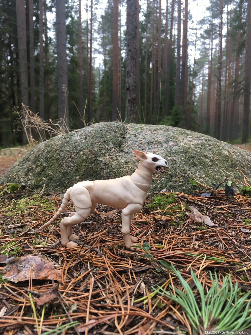 А мы все еще на даче — Куклы Irrealdoll (Ирреалдолл): BJD (БЖД)