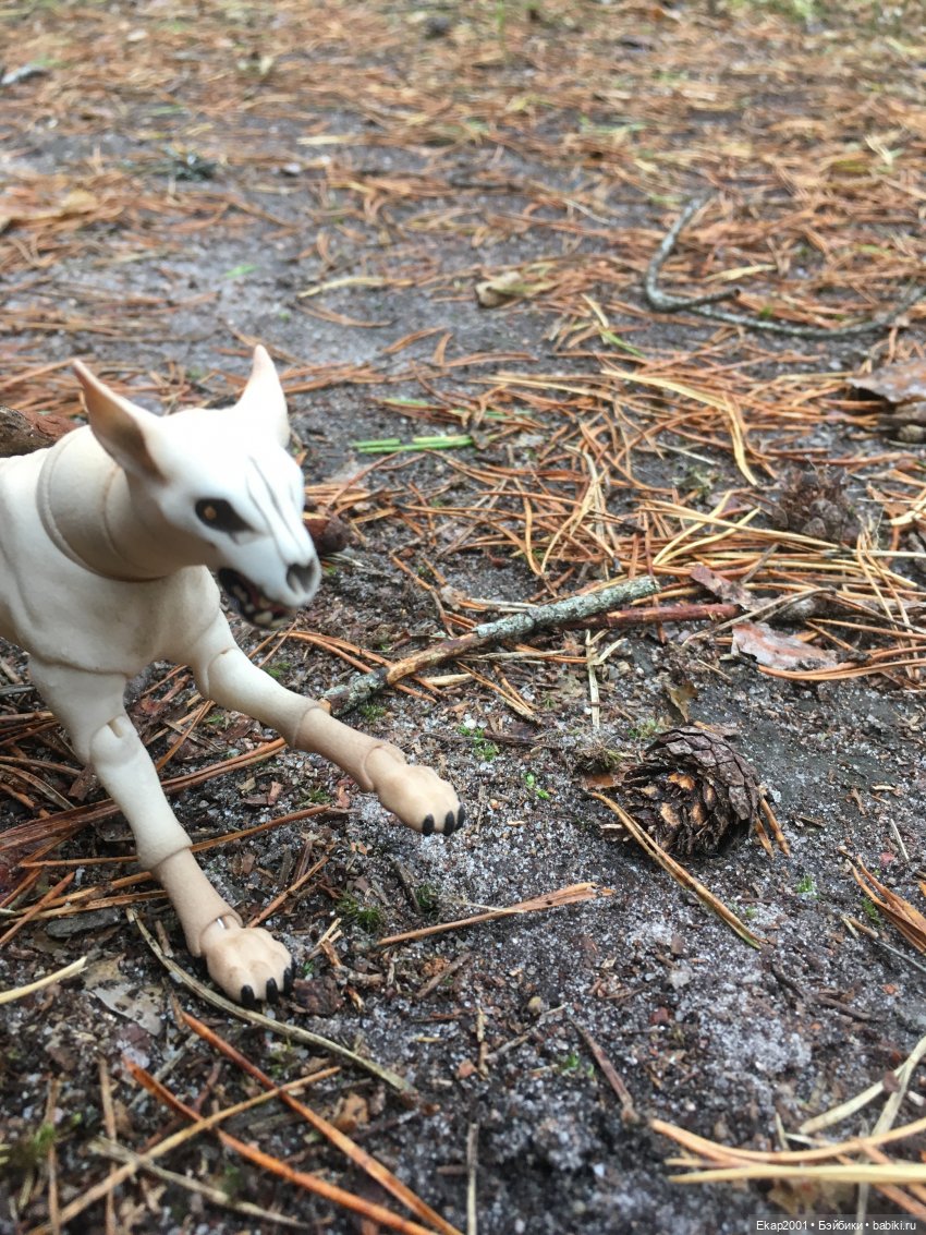 А мы все еще на даче — Куклы Irrealdoll (Ирреалдолл): BJD (БЖД)