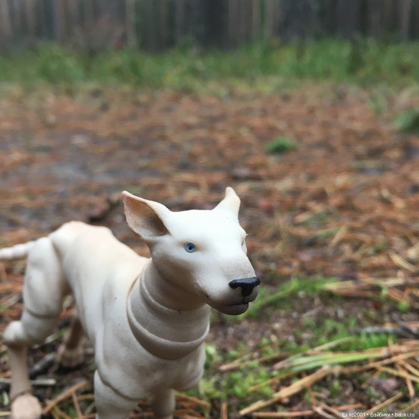 А мы все еще на даче — Куклы Irrealdoll (Ирреалдолл): BJD (БЖД)