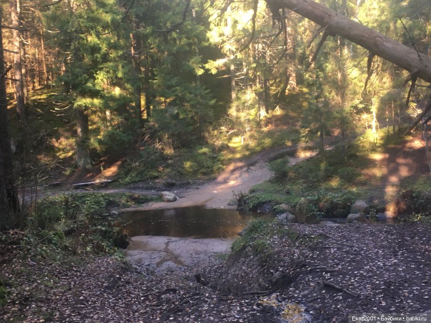 А мы все еще на даче — Куклы Irrealdoll (Ирреалдолл): BJD (БЖД) (фото 8)