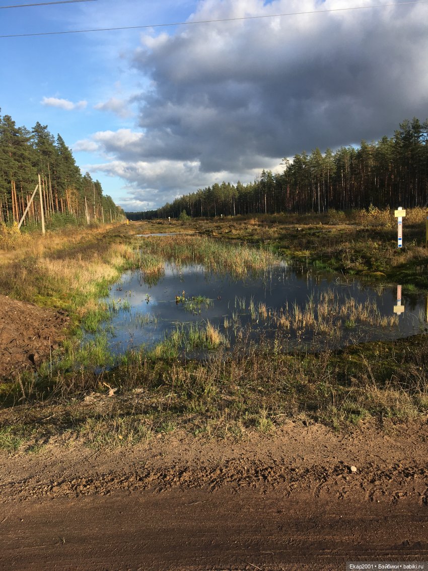 А мы все еще на даче — Куклы Irrealdoll (Ирреалдолл): BJD (БЖД)
