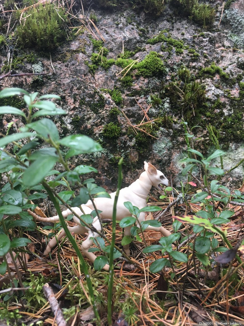 А мы все еще на даче — Куклы Irrealdoll (Ирреалдолл): BJD (БЖД)