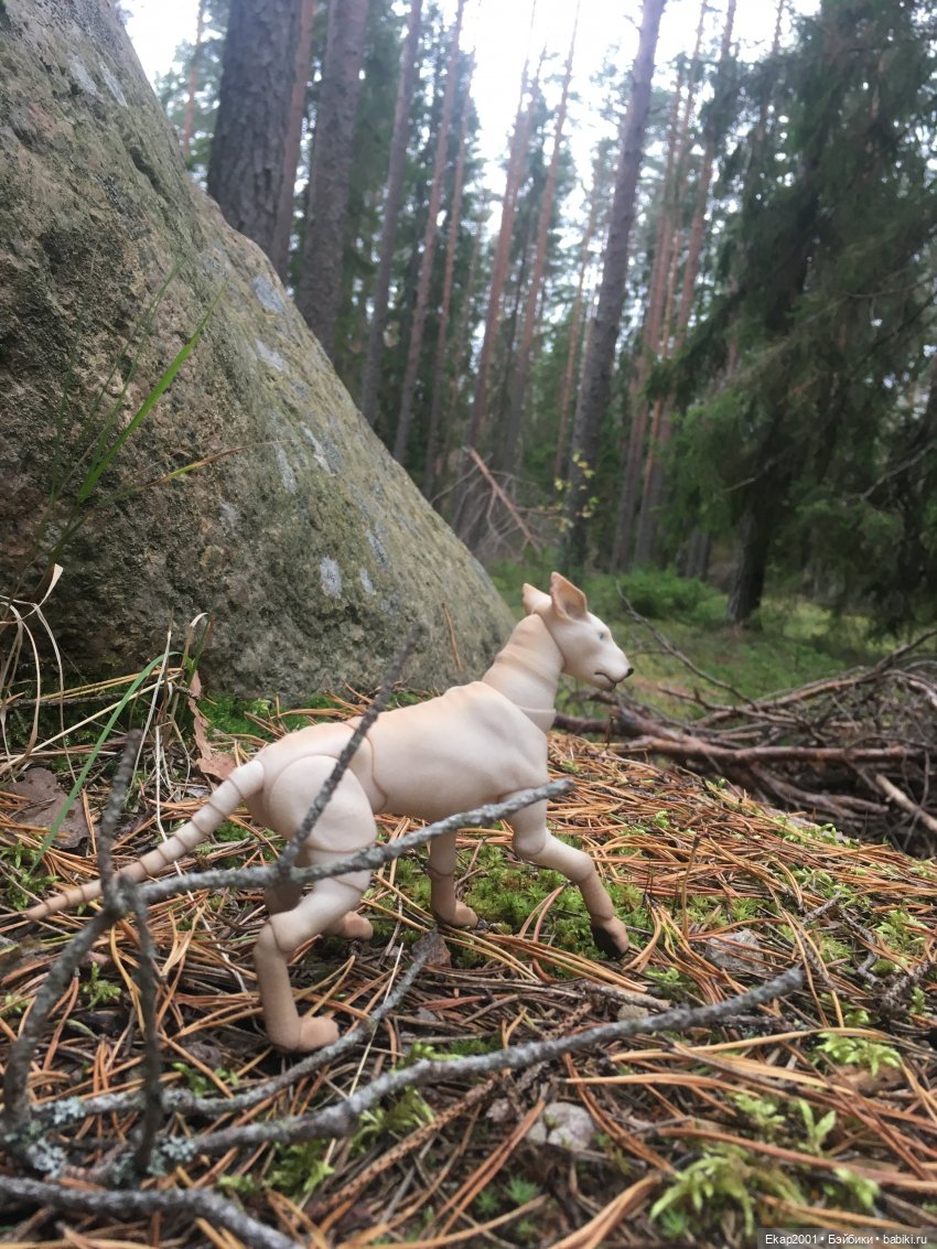 А мы все еще на даче — Куклы Irrealdoll (Ирреалдолл): BJD (БЖД)