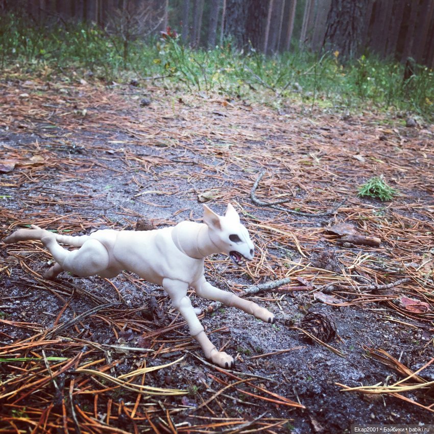 А мы все еще на даче — Куклы Irrealdoll (Ирреалдолл): BJD (БЖД)