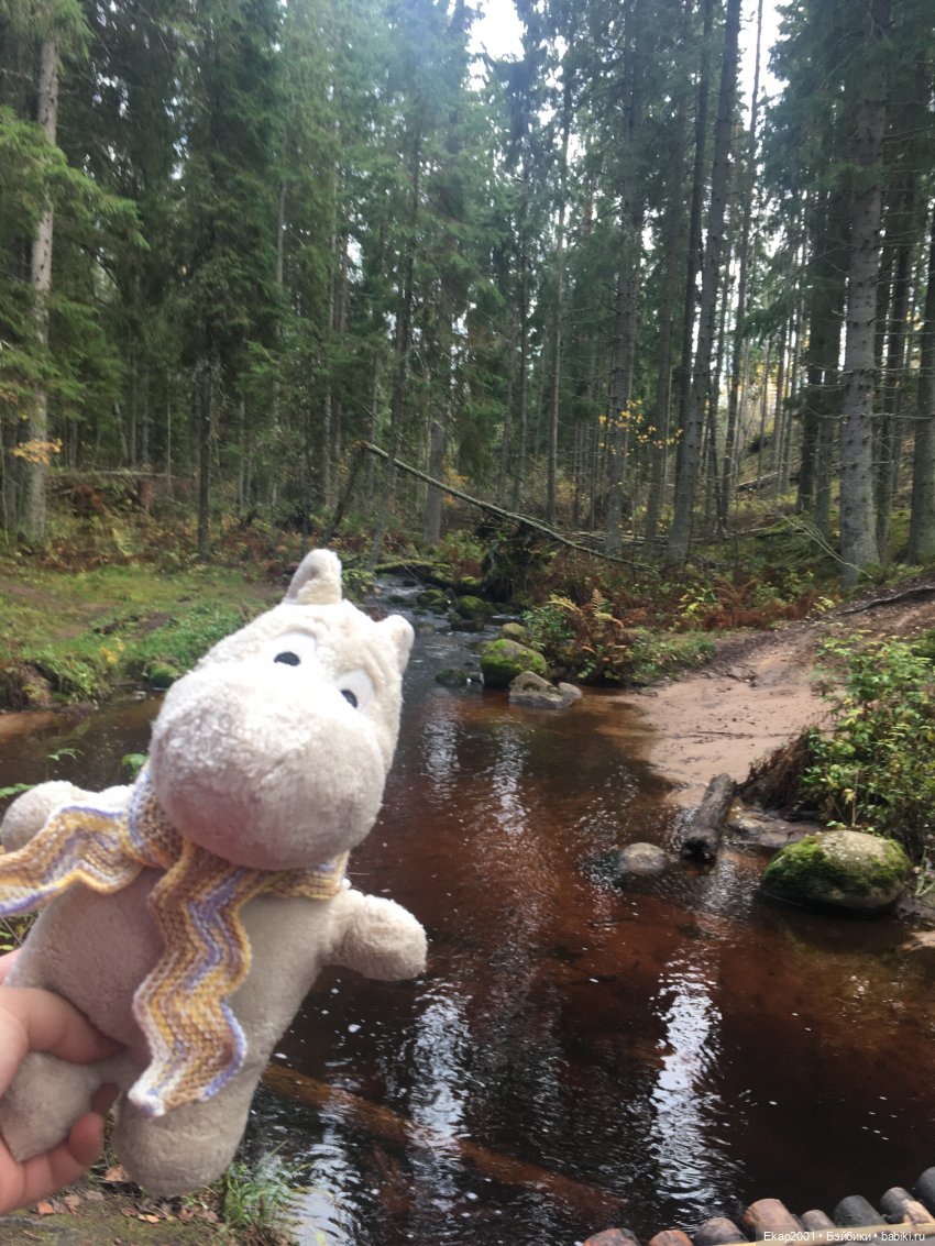 А мы все еще на даче — Куклы Irrealdoll (Ирреалдолл): BJD (БЖД) (фото 9)