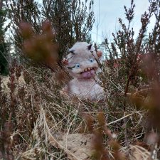 А это опять я