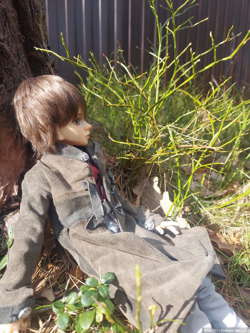 Руслан и плащ — Куклы DIM (Doll in Mind): корейские BJD (БЖД) (фото 2)