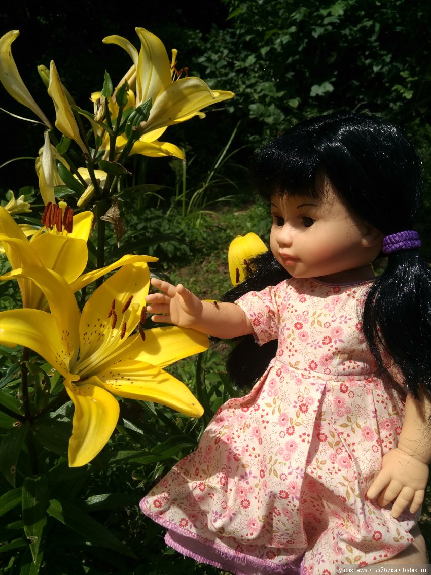 Моя коллекция азиаточек — Домашние коллекции кукол: фото собраний