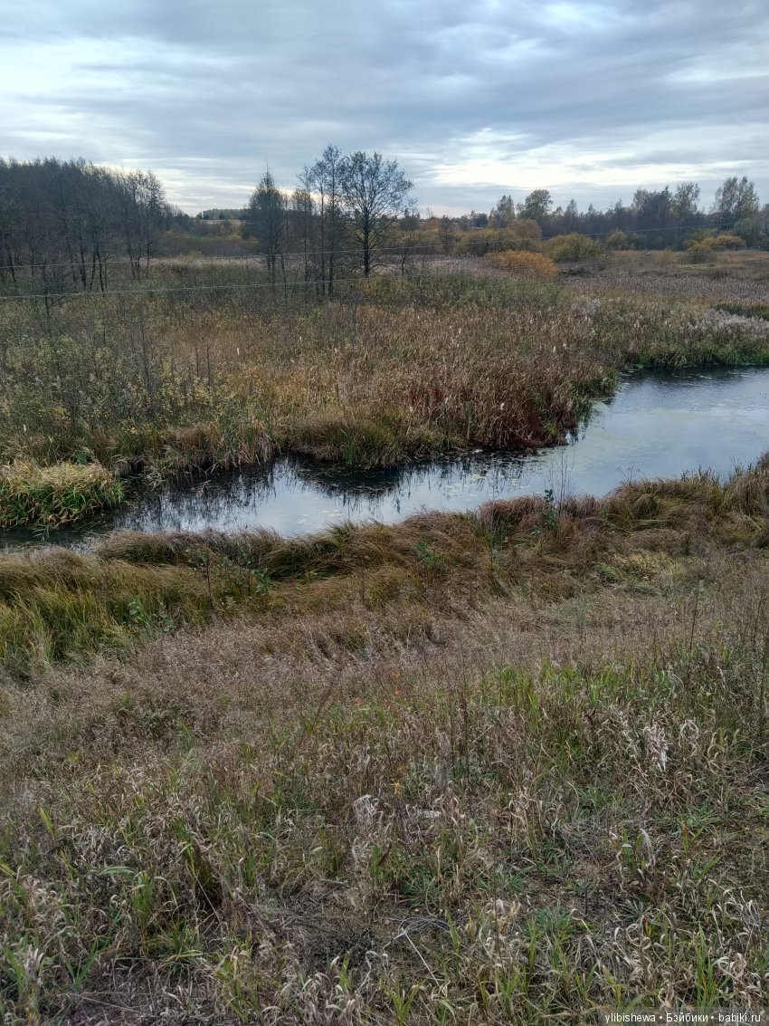 Эмилия приехала! Или как мы ходили Валентину встречать (фото 4)