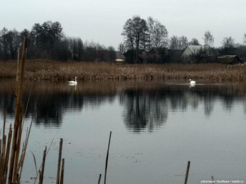 Девочка Осень или весна пришла (фото 7)