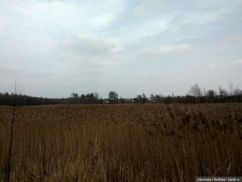 Девочка Осень или весна пришла