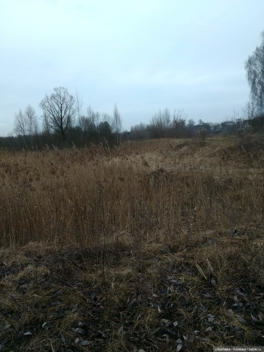 Девочка Осень или весна пришла (фото 2)