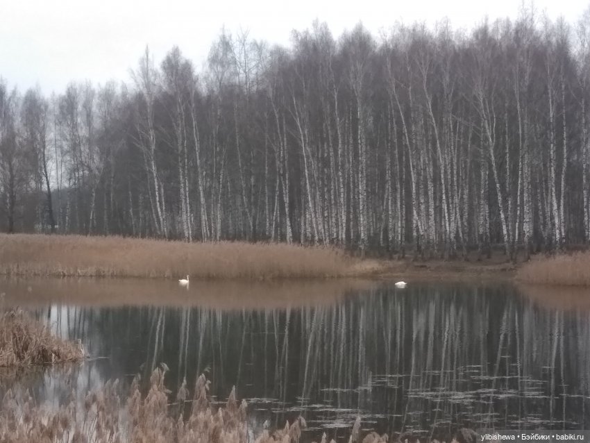 Девочка Осень или весна пришла (фото 8)