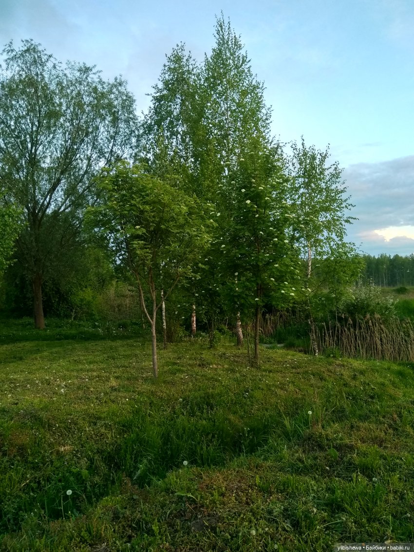 Будем жить с надеждой или что делает меня счастливой