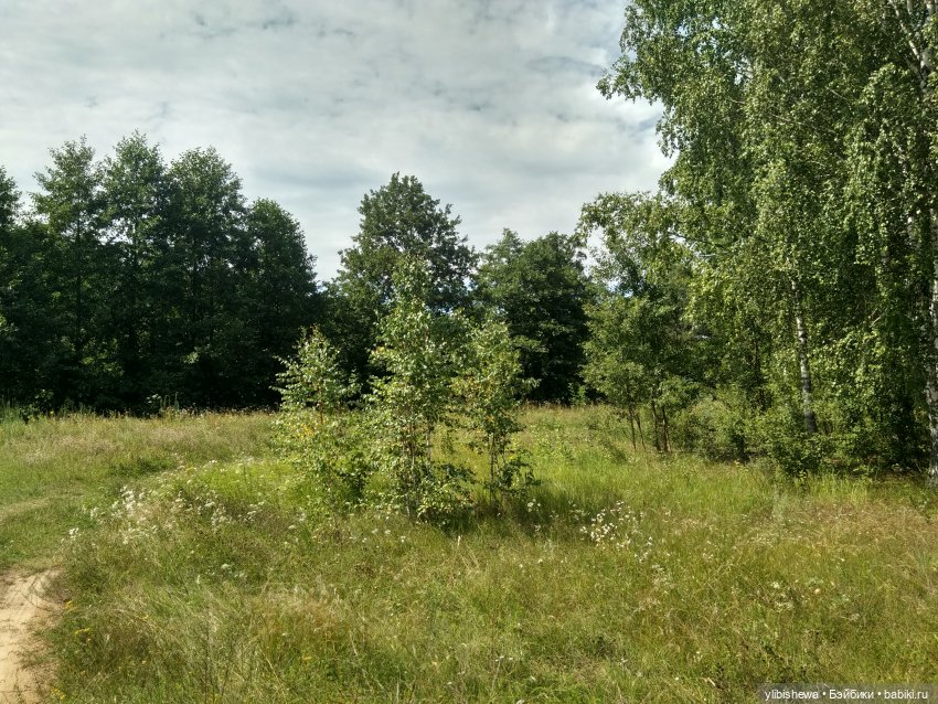 Corolle - мои куколки цветочки