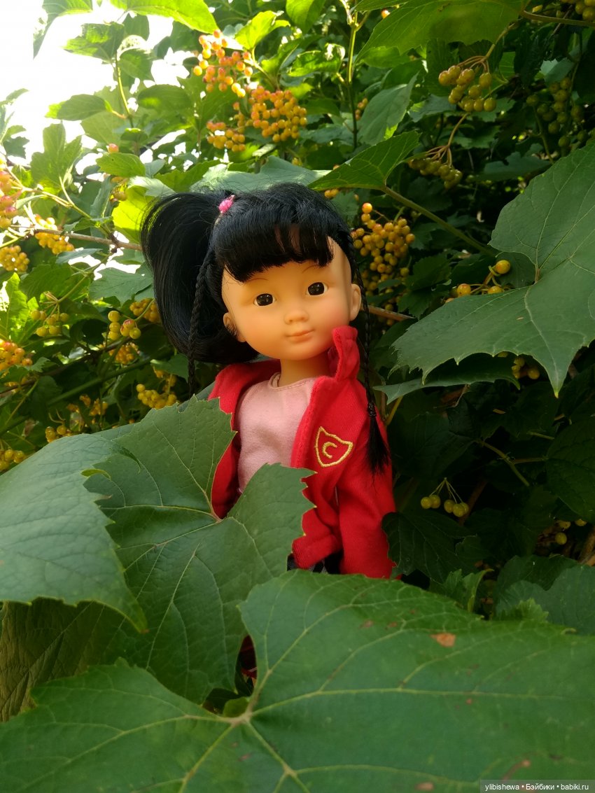 Corolle - мои куколки цветочки (фото 10)