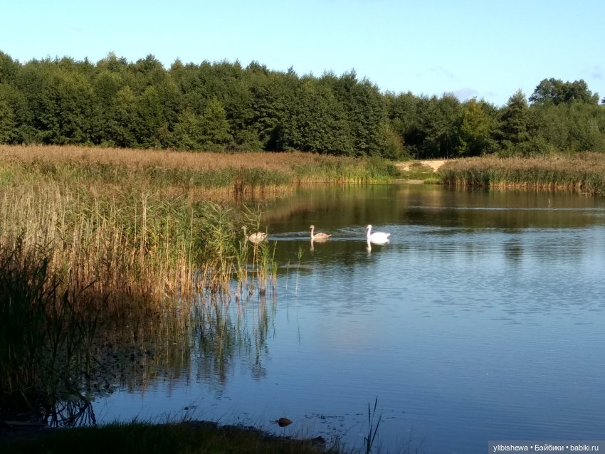 Осенняя прогулка с Тони и Симоном