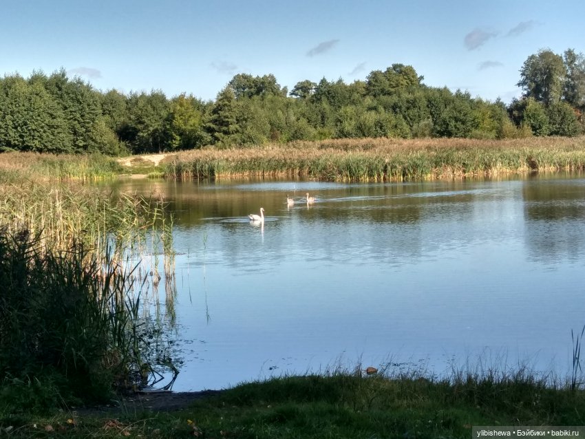 Осенняя прогулка с Тони и Симоном
