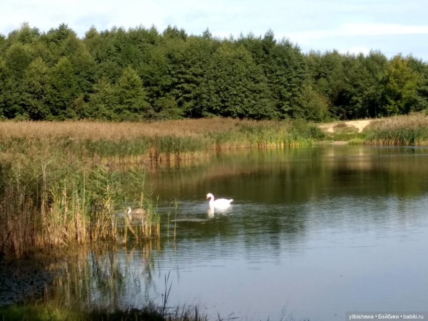 Осенняя прогулка с Тони и Симоном