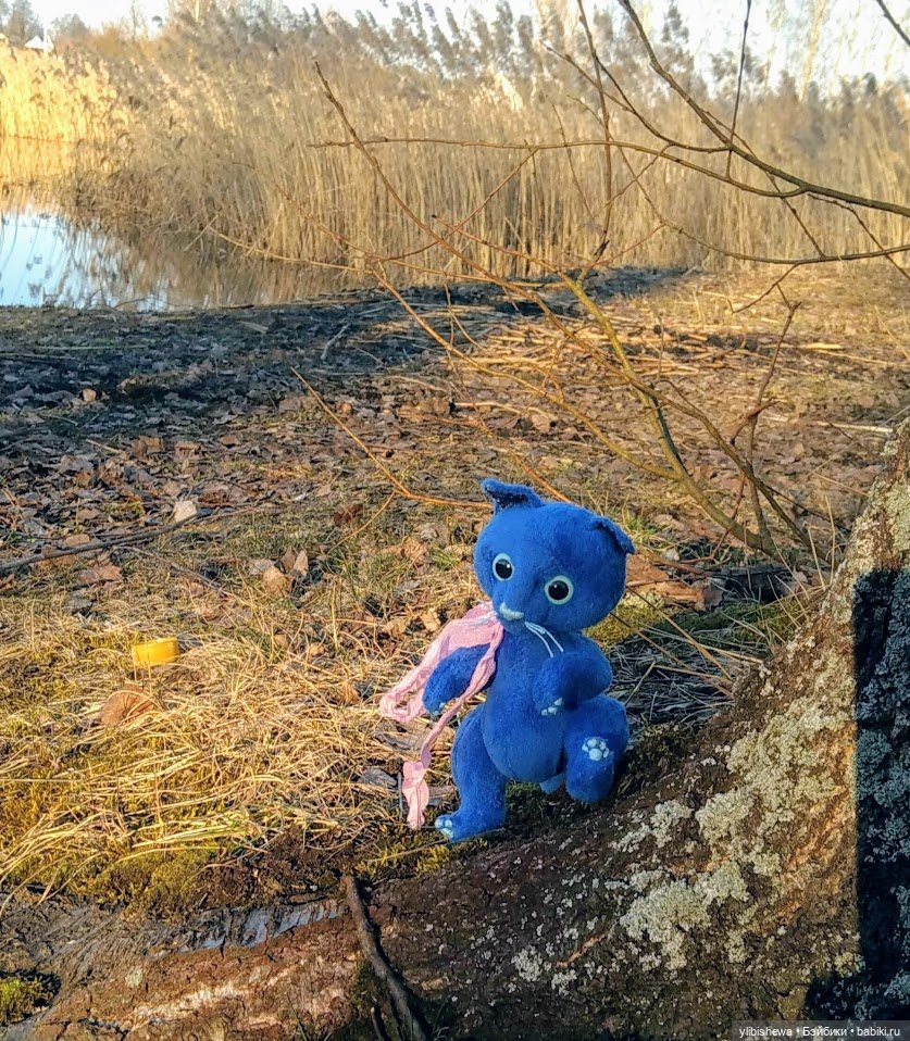 Весна. Прогулка с Руби Ред (фото 4)