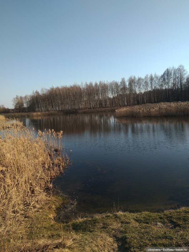 Весна. Прогулка с Руби Ред (фото 2)