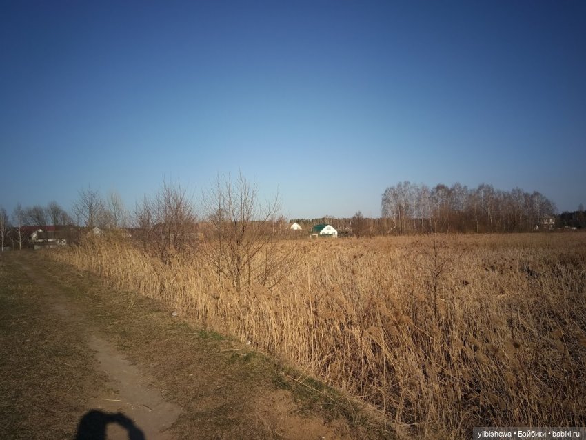 Весна. Прогулка с Руби Ред