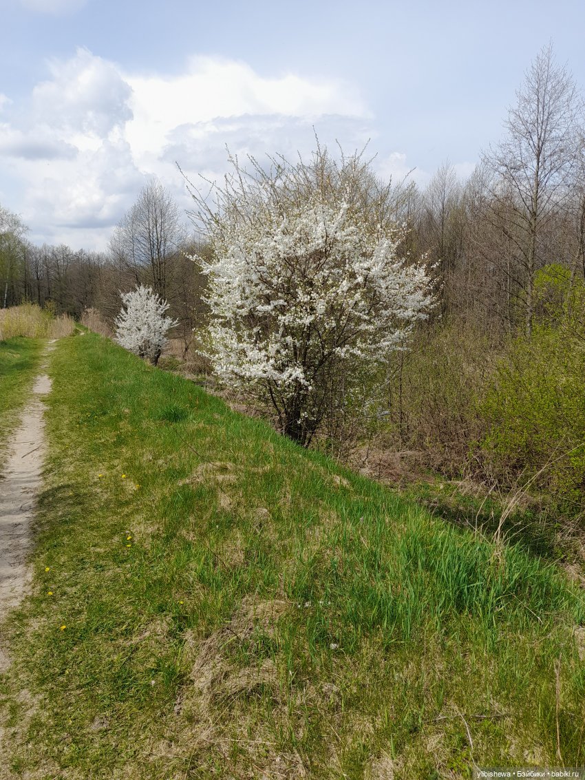 Весна и куклы. Куклы и весна