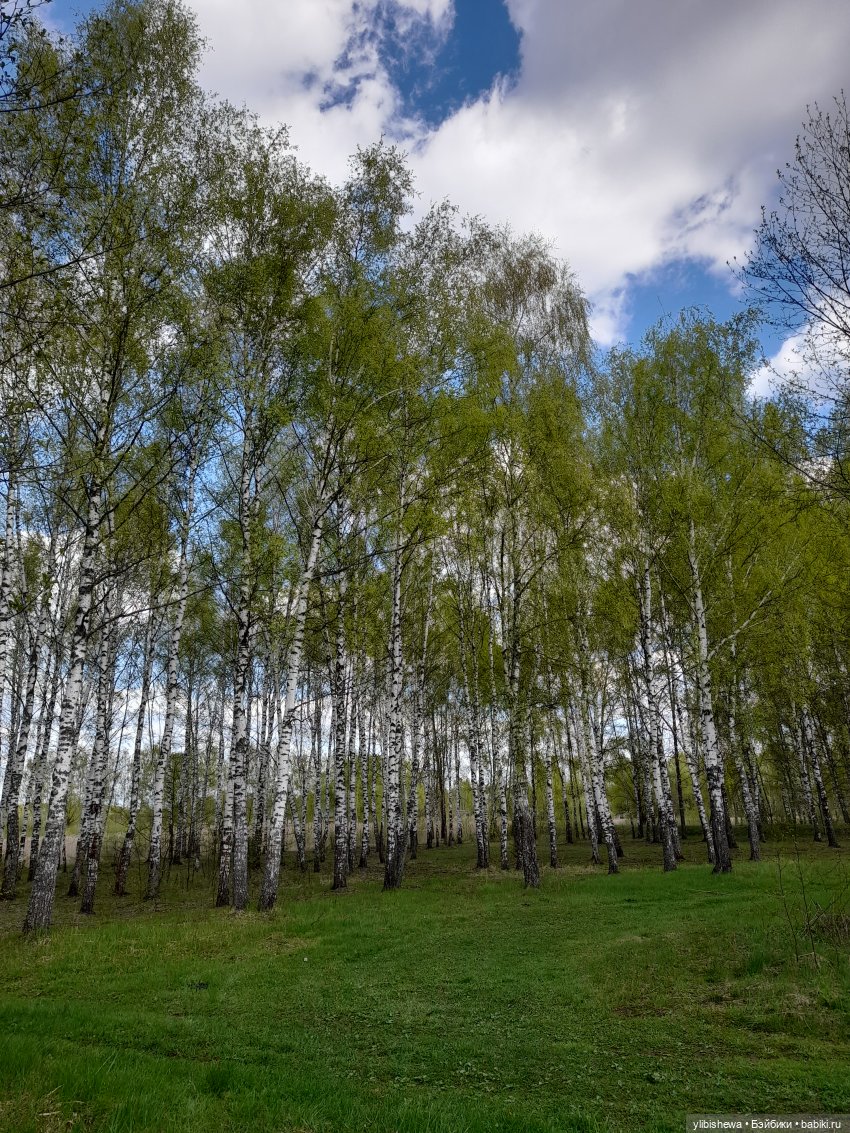 Весна и куклы. Куклы и весна