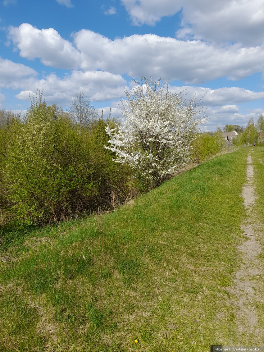Весна и куклы. Куклы и весна