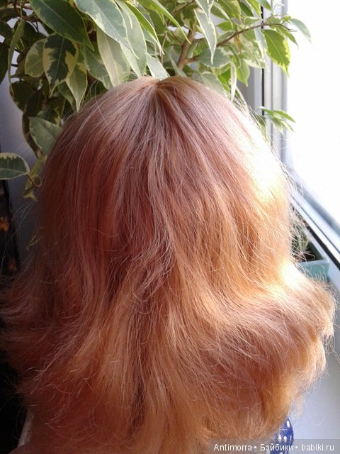 Псевдо-Паолка. Начнем сначала