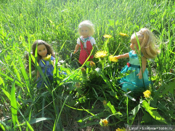 В поход за одуванчиками с mini american girl