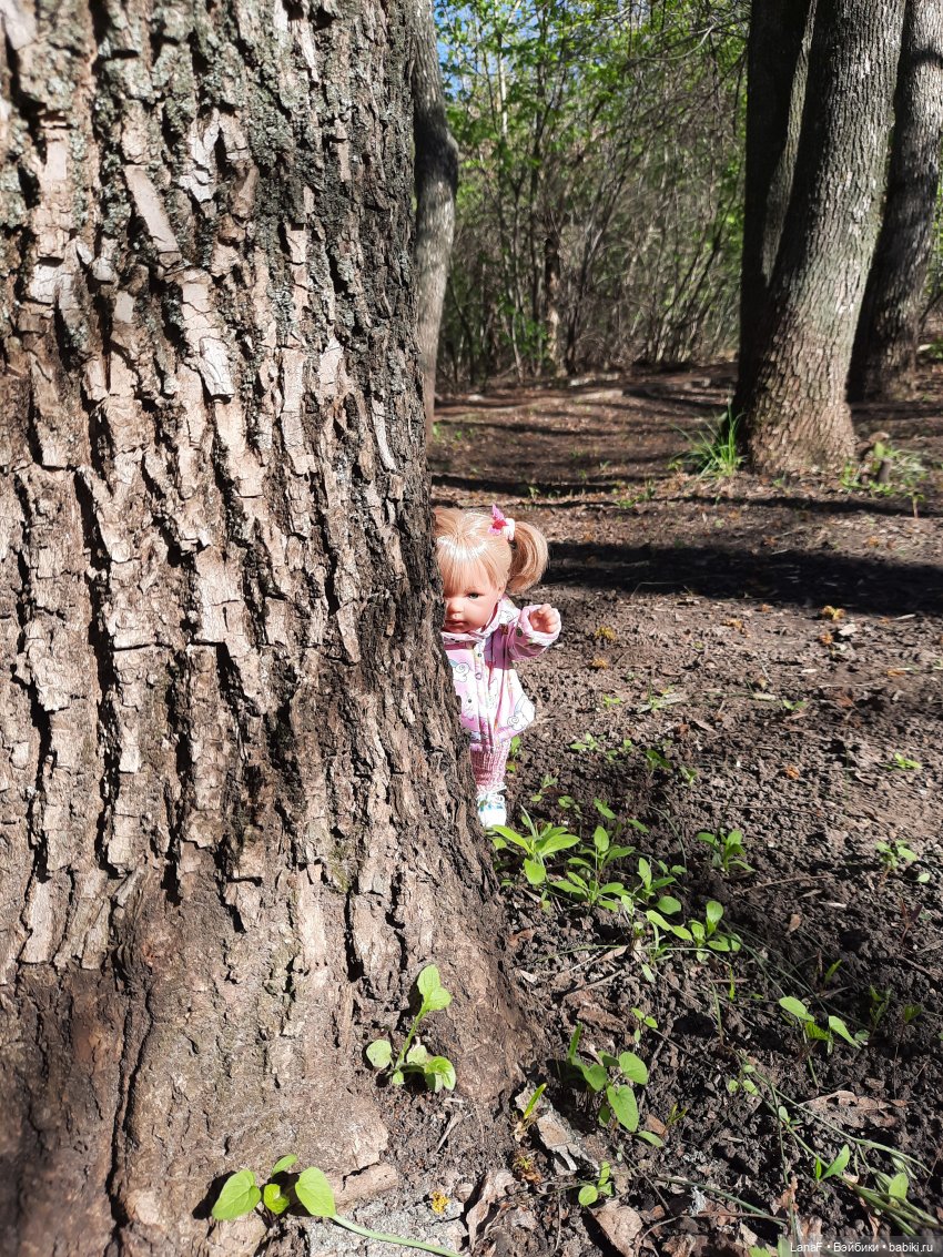 Приглашаем на прогулку в лесопарк (фото 4)