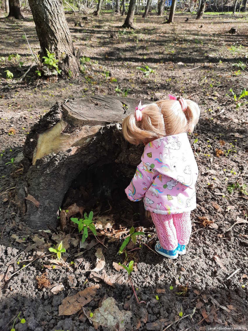Приглашаем на прогулку в лесопарк (фото 5)