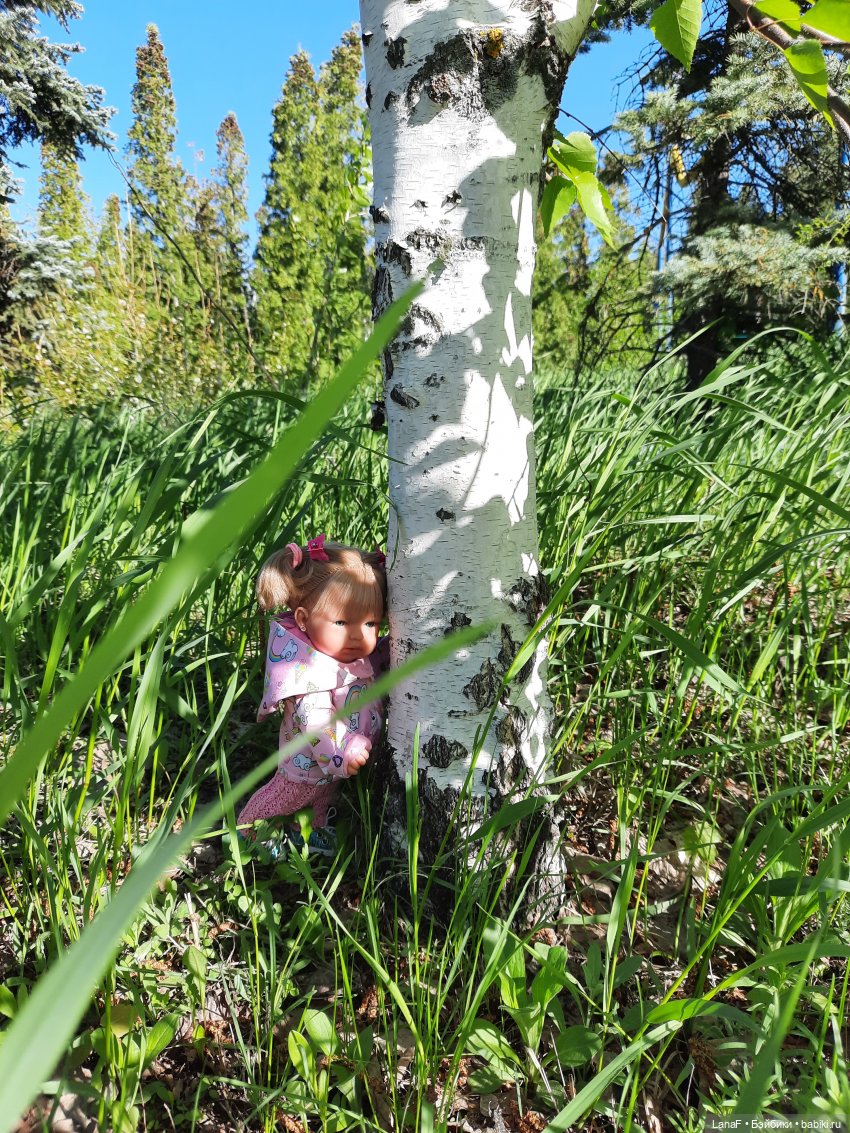 Приглашаем на прогулку в лесопарк (фото 2)