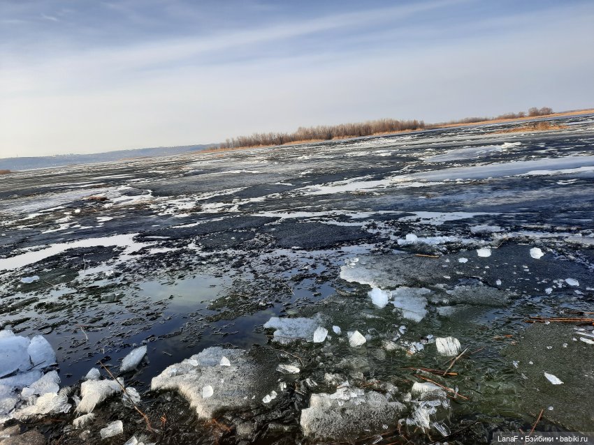 Весна в парке (пепита от Антонио Хуан)
