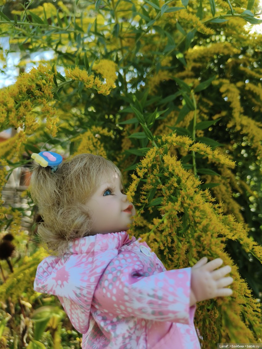 Элинкины рассказы или " Зелёный жук и золотая осень". Мини Адора mini adora (фото 8)