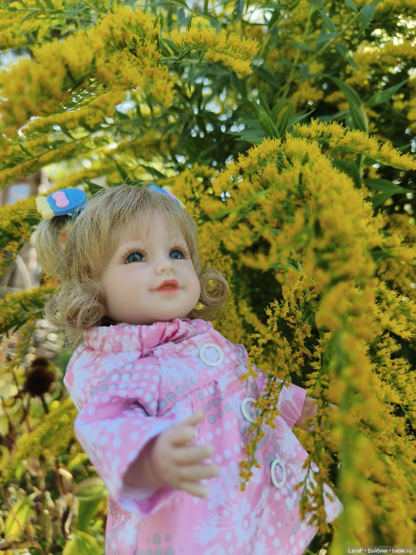 Элинкины рассказы или " Зелёный жук и золотая осень". Мини Адора mini adora (фото 7)