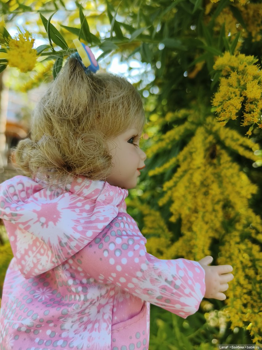 Элинкины рассказы или " Зелёный жук и золотая осень". Мини Адора mini adora (фото 10)