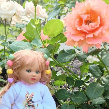 Эмили и розочки ( кукла Габриэль Мюллер)