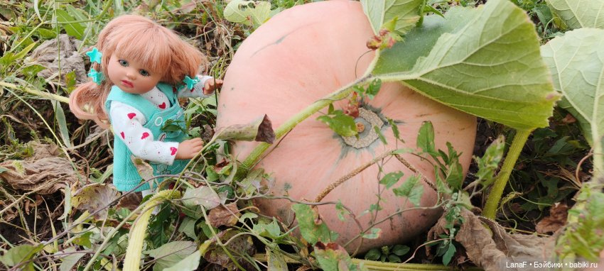 Как Золушка карету выбирала. (Куклы Gabrielle Muller) (фото 2)