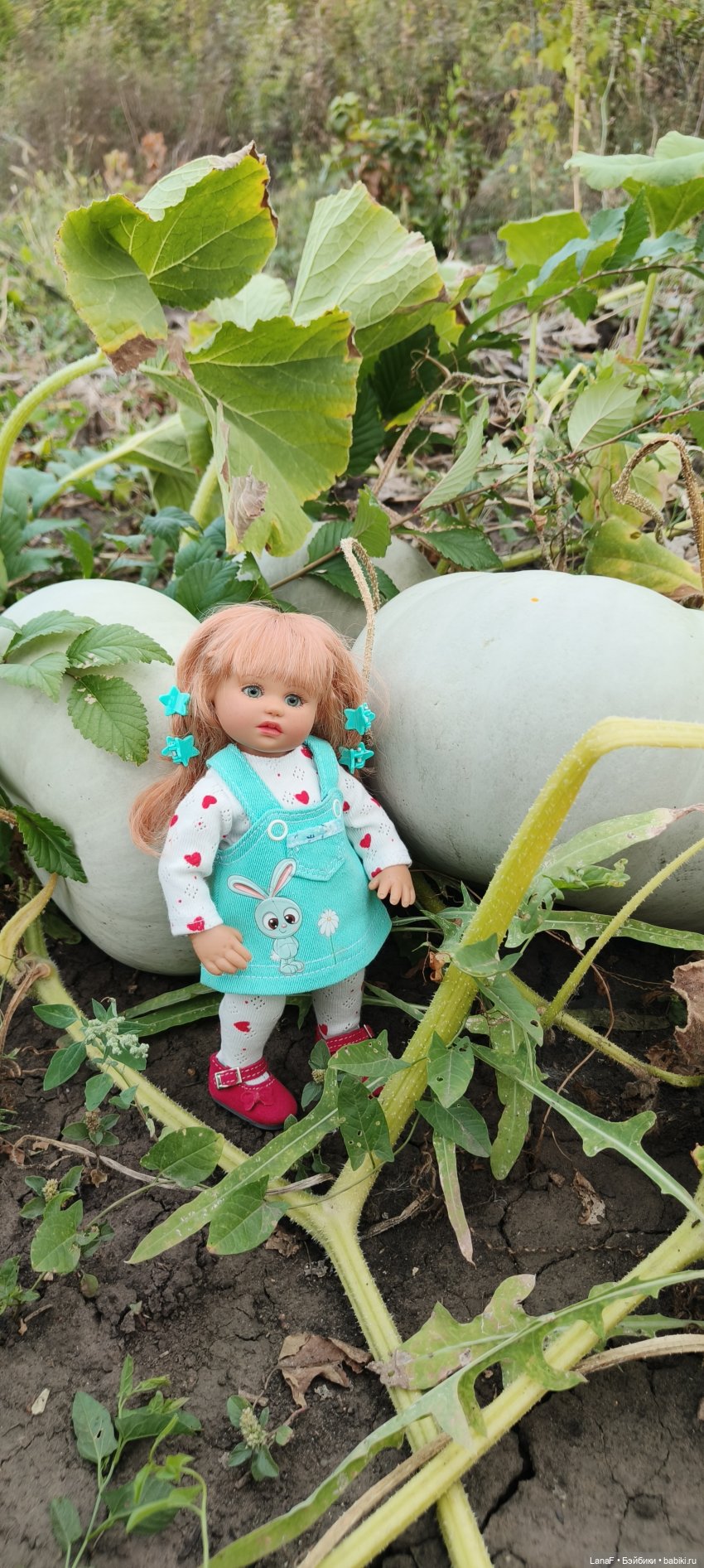 Как Золушка карету выбирала. (Куклы Gabrielle Muller) (фото 4)