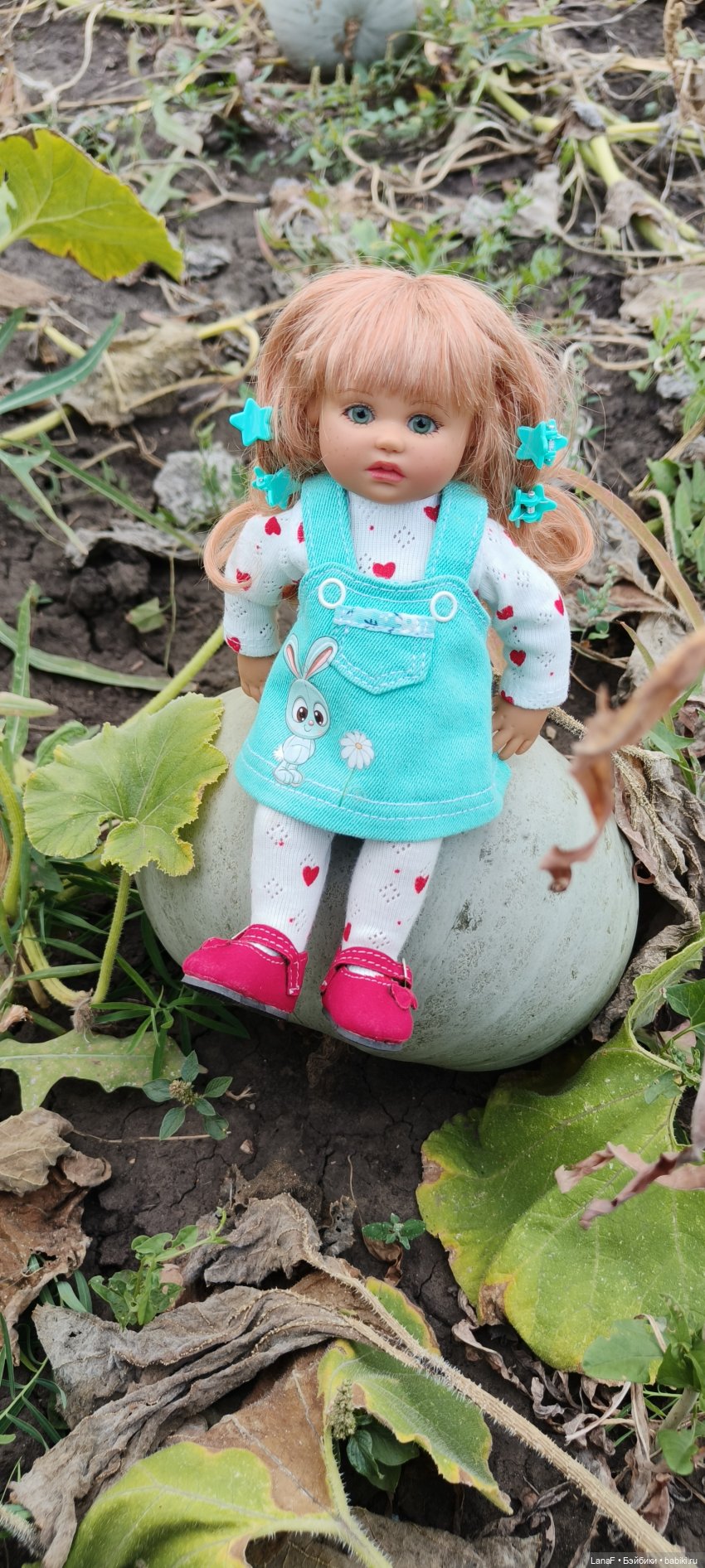 Как Золушка карету выбирала. (Куклы Gabrielle Muller) (фото 5)