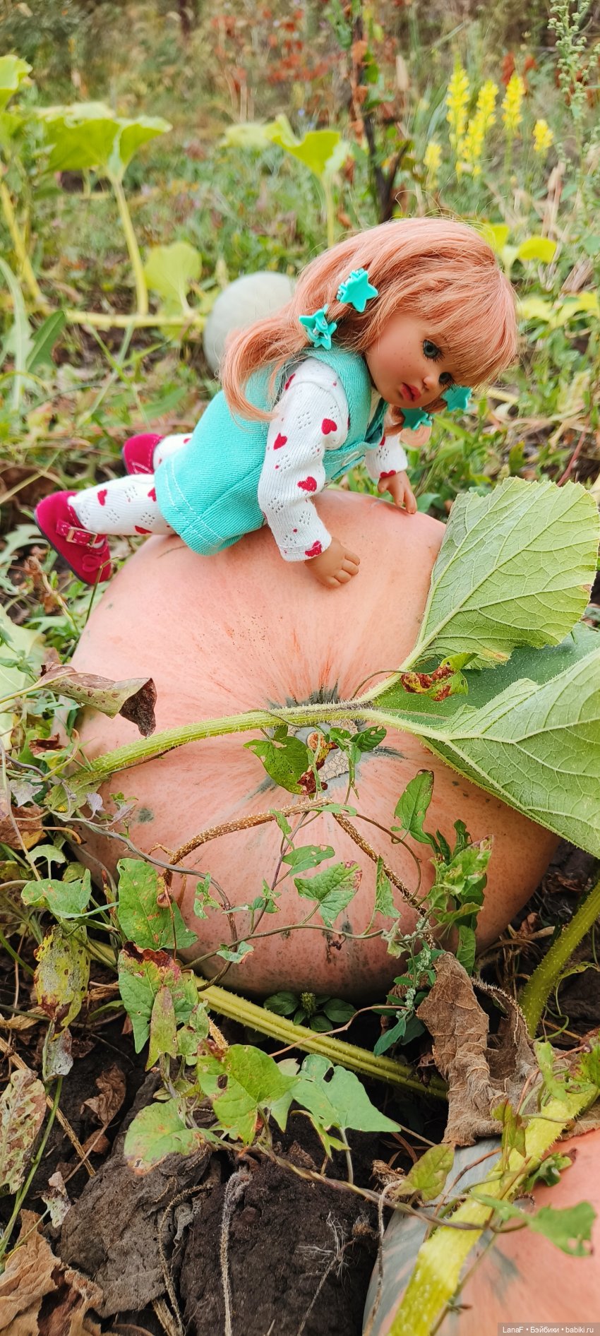 Как Золушка карету выбирала. (Куклы Gabrielle Muller) (фото 8)