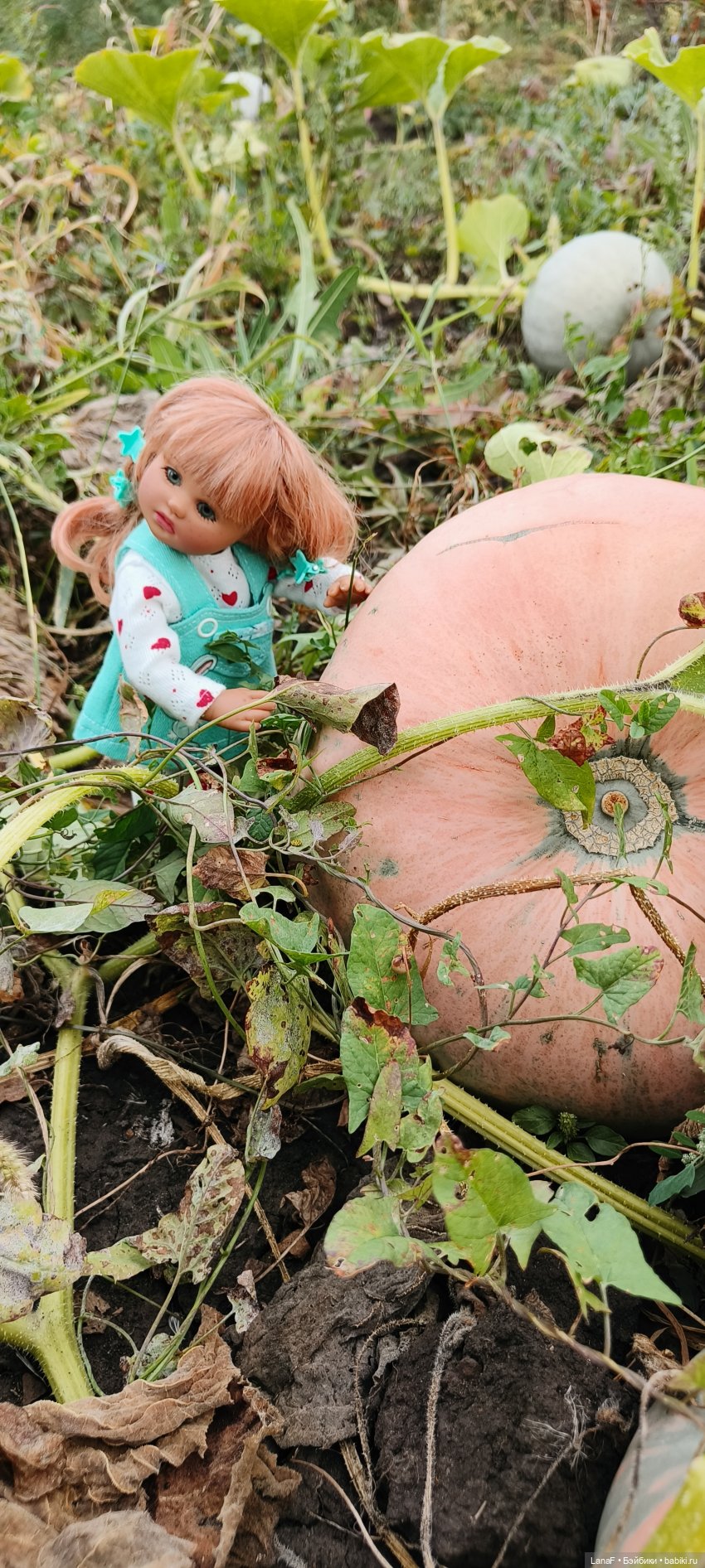 Как Золушка карету выбирала. (Куклы Gabrielle Muller) (фото 3)