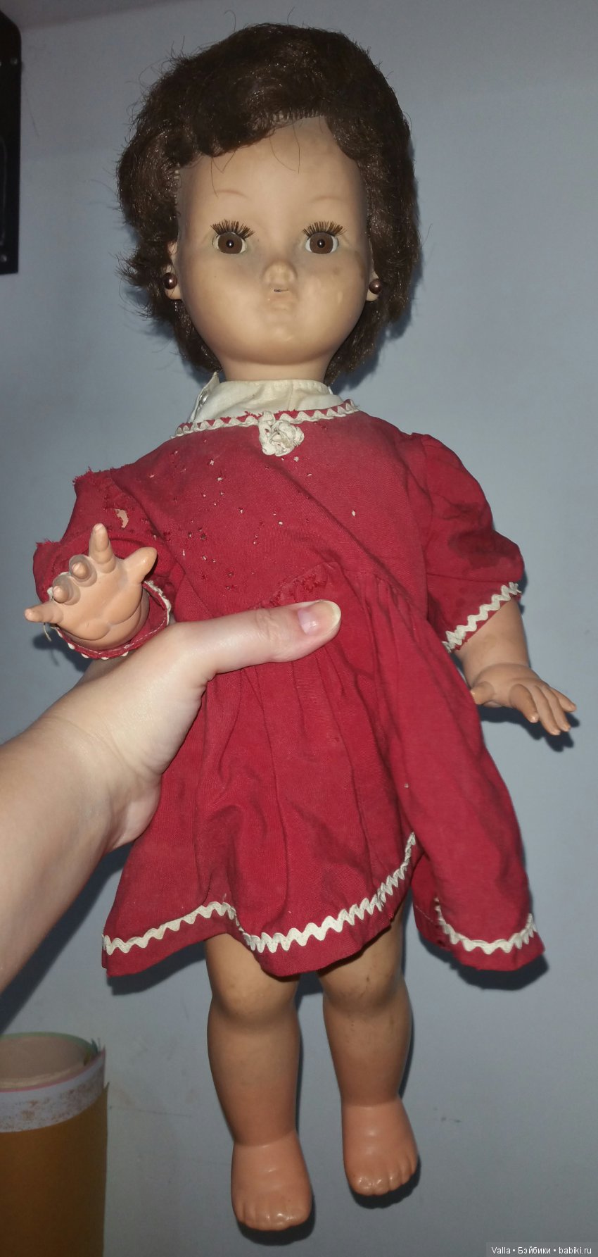 Как я случайно встретилась с Белочкой, которая стала Люсенькой (фото 4)