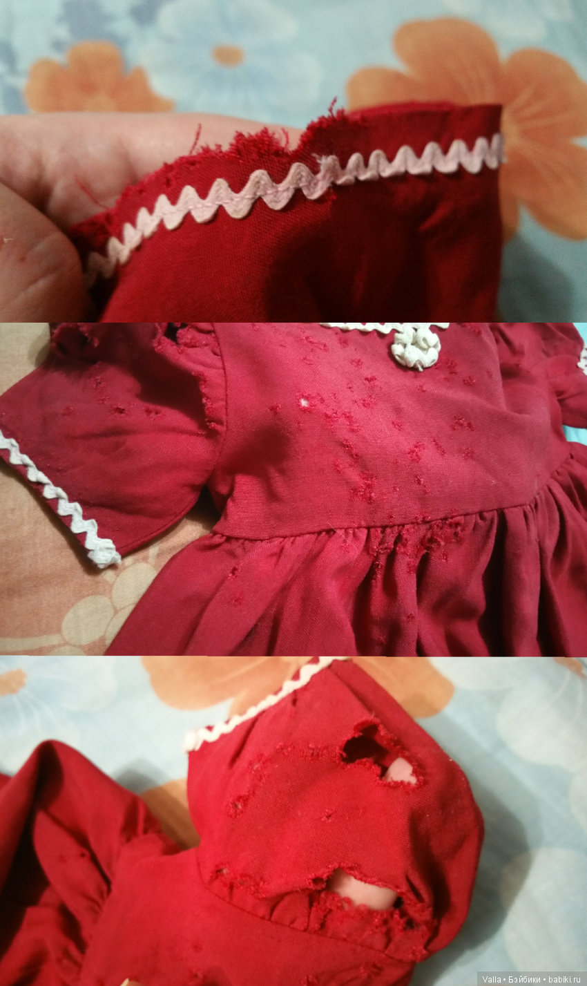 Как я случайно встретилась с Белочкой, которая стала Люсенькой (фото 6)