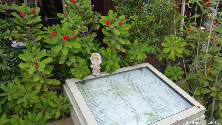 Предновогодняя прогулка с Машей